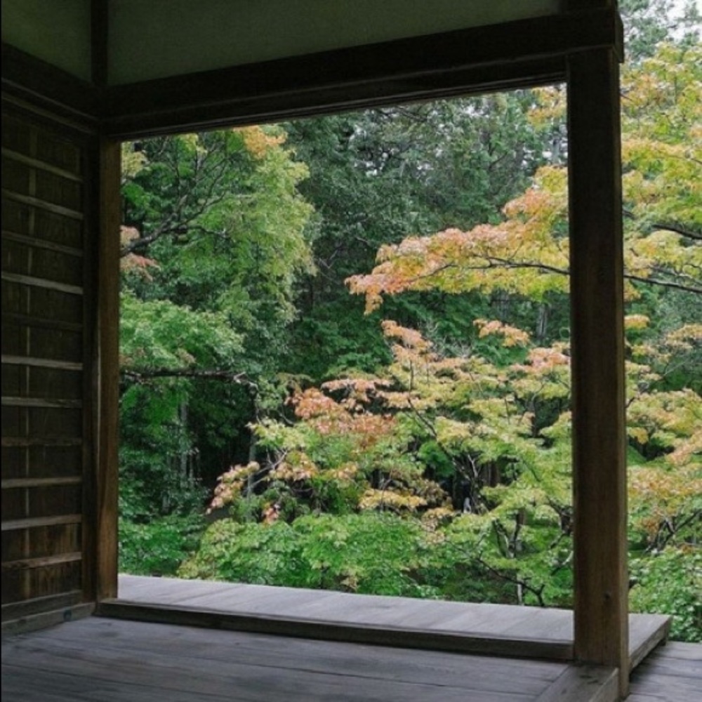 Meet your Posher, Julissa